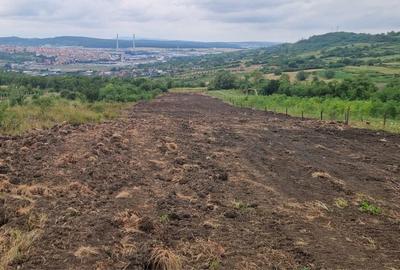 Teren de 5800 mp, în Exterior Vest - 4