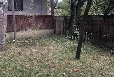 Casă cu 2 camere în Mărtănuș - 6