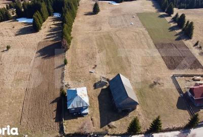 Teren de 10909 mp, în Râșca - 6