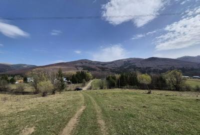 Teren intravilan la baza pădurii Valea Doftanei sat Traisteni (poduri) - 3
