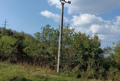 Teren de 1273 mp, în Cislău - 1