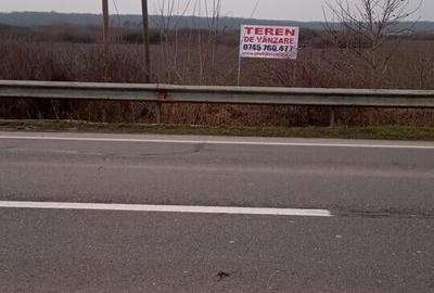 Teren extravilan 3,56 hectare in Dorolt ( ID 22873) - 1