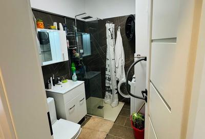 Garsonieră în Brazda lui Novac - 6