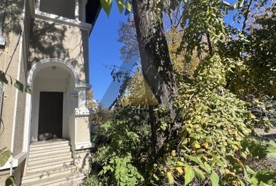 VILA IDEAL INVESTITIE REZIDENTIALA SAU COMERCIALA VILA IDEAL INVESTITIE REZIDENTIALA SAU COMERCIALA - 5