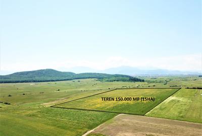 Teren Bod - ideal dezvoltare cartier rezidential