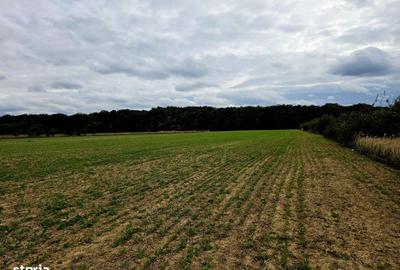 Teren de 632 mp, în Central