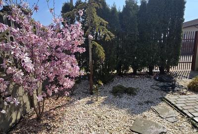 Duplex cu 4 camere cu Teren 294 Mp în Dâmbovița - 14