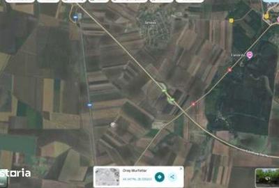 Teren de 6000 mp, în Ciocârlia - 4