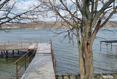 Teren de 1000 mp, în Vrancea - 1