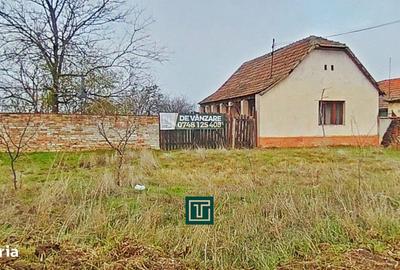 Casă cu 2 camere cu Teren 1440 Mp în Secusigiu - 10