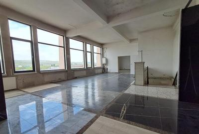 Spatiu comercial suprafete intre 130-87-217 mp zona Plevnei - 8