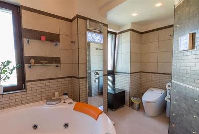 Apartament cu 8 camere decomandat în Herăstrău - 27