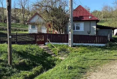 Casă cu Teren 1000 Mp în Lujerdiu - 3