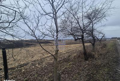 Teren de 2000 mp, în Moara - 4