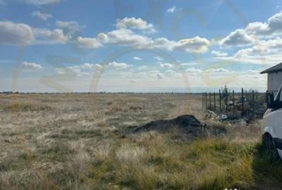 Teren de 10000 mp, în Albota - 4