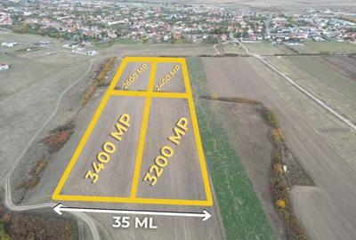 Teren arabil Intravilan 11600mp | LmP | Remetea Mare | COM 0% - 1