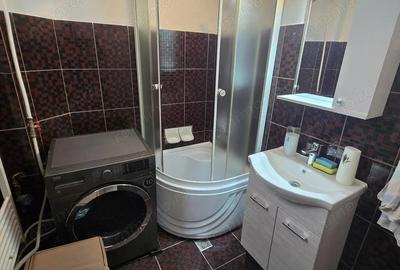 Apartament proaspat renovat 1 camera, 10mp curte, Balcescu - 5