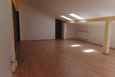 PIATA VICTORIEI - Spital Sanador inchiriere imobil 230 mp - 17