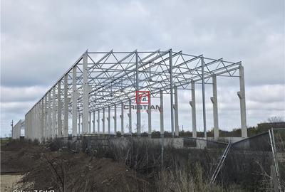 Depozit/hala/spatiu industrial Mogosoaia - Buftea - 8