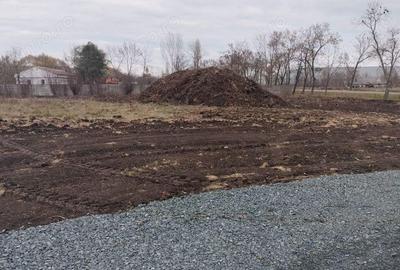 Inchiriez teren 4310 mp in Ghiroda - 5