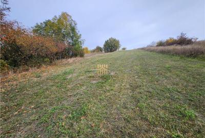 Teren Intravilan 2460 mp - Burdujeni Sat! - 7