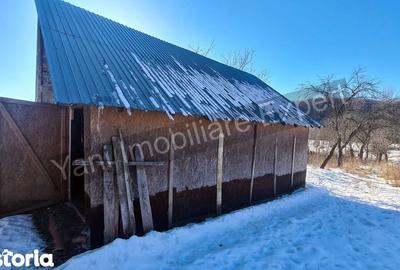 Casă cu 3 camere cu Teren 3877 Mp în Valea Danului - 6
