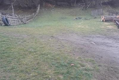 Teren de 2800 mp, în Tiha Bârgăului - 1