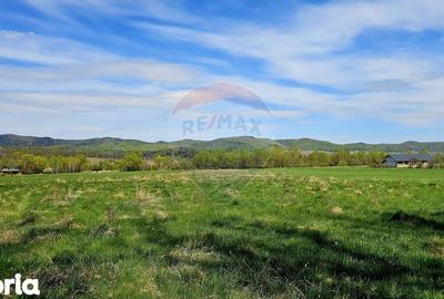 Teren de 10000 mp, în Vânători-Neamț - 1