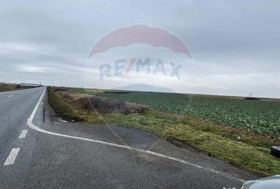 Teren de 80500 mp, în Ciumeghiu - 3