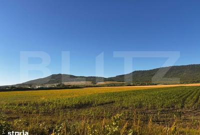 Teren de 5100 mp, în Șieu - 2