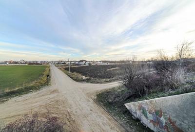 Teren Construcții intravilan de 6150 mp, în Domnești - 5