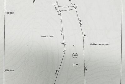 Teren Construcții intravilan de 1700 mp, în Podgoria - 3