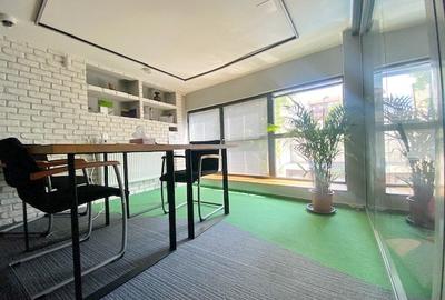 Cismigiu-Mircea Vulcanescu Cismigiu-Mircea Vulcanescu - 9