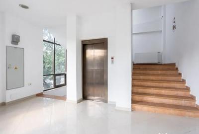 Spațiu comercial, de 250 mp, în Ferdinand - 1