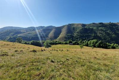 RECO teren extravilan Remeti - 2