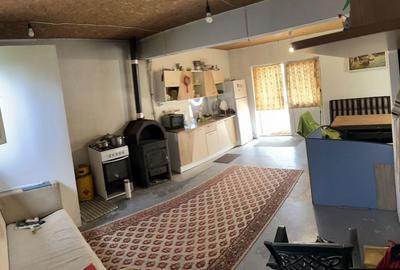 Casă cu 3 camere în Bujoreanca - 7