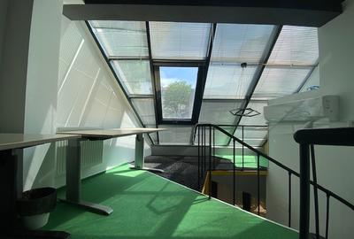 Cismigiu-Mircea Vulcanescu Cismigiu-Mircea Vulcanescu - 8