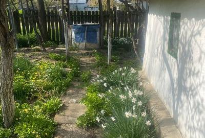 Casă cu 3 camere în Floroaica - 4