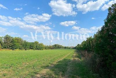 OPORTUNITATE INVESTITIE, TEREN 2000MP,  PROIECT CARTIER VILE, PONTON, CLUB OPORTUNITATE INVESTITIE, TEREN 2000MP,  PROIECT CARTIER VILE, PONTON, CLUB - 2