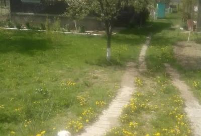 Casă cu 3 camere în Criș - 1