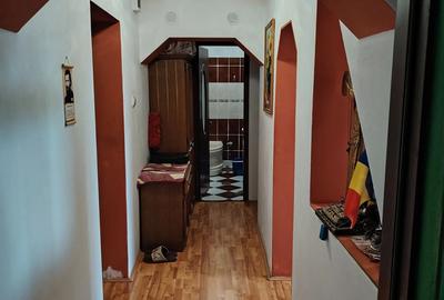 Apartament cu 2 camere decomandat în Remetea Mare - 6