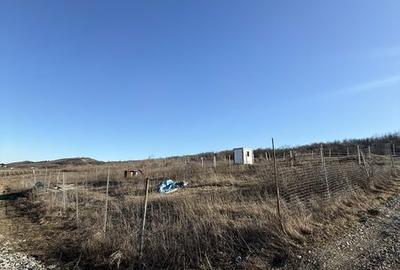 Teren de 400 mp, în Tomești - 2