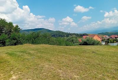 Teren de 500 mp, în Sud - 3