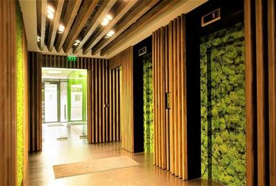 Inchirieri birouri in Biharia Office Building - 350 mp - 5