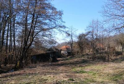 Casă cu 3 camere în Nojag - 2