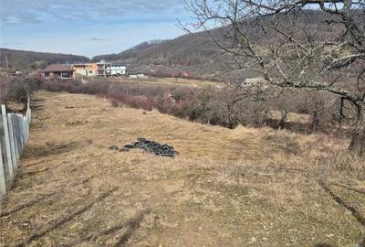 Teren de 3000 mp, în Nord - 2