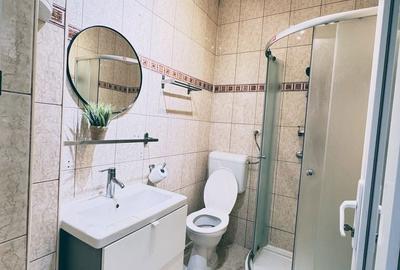 Garsonieră în Banu Manta - 9