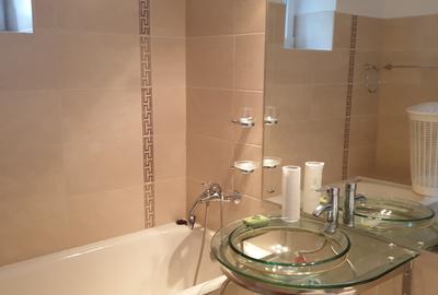 Apartament cu 3 camere semidecomandat, mobilat în Banu Manta - 9