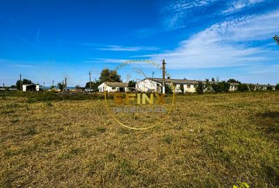 Chiselet, Calarasi, teren intravilan cu potential de investitie 62000 mp - 11