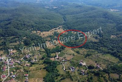 Teren de vanzare in comuna Baicule?ti, sat Valea lui Enache, jude? Arge?. - 2